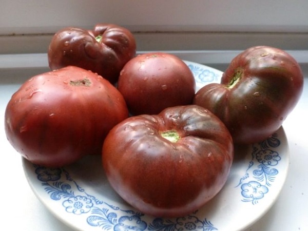 Черные сорта помидоров: фото и описание