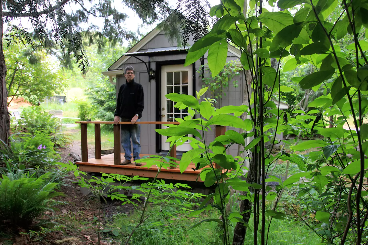 Как озеленить частный дом - 55 фото лучших идей озеленения на даче
