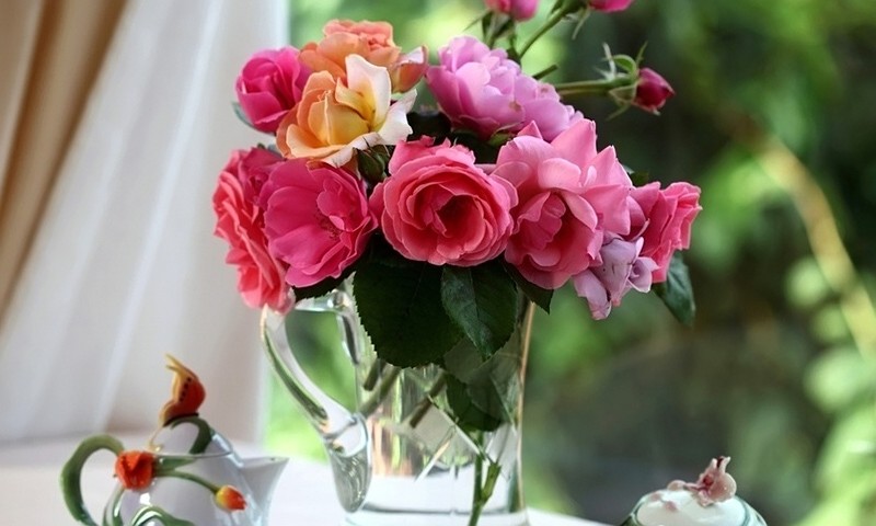 Как сохранить срезанные розы свежими в вазе подольше