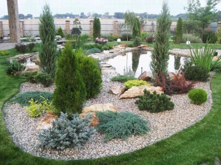 Карликовые хвойные для сада 55 фото идей ландшафтного дизайна
