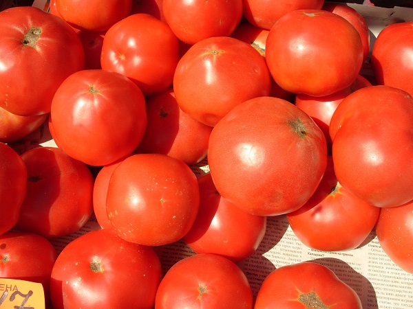 Лучшие сорта помидоров для выращивания на открытом грунте: фото