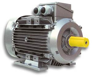 Однофазный электродвигатель 220 Вольт: особенности и разновидности