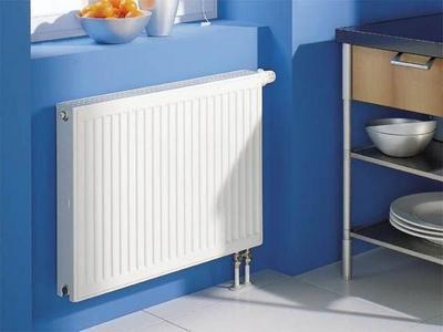 Радиаторы отопления, какие лучше для дома и квартиры? Советы мастера.