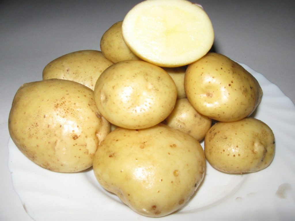 Сорт картофеля Адретта: фото и описание