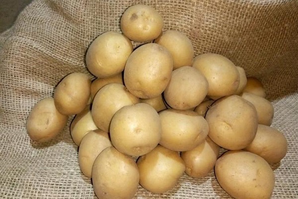 Сорт картофеля «Ярла»: фото и описание