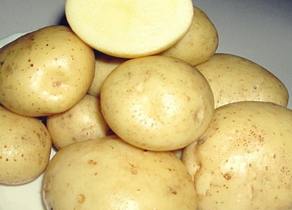 Сорт картофеля Каменский: характеристика и отзывы