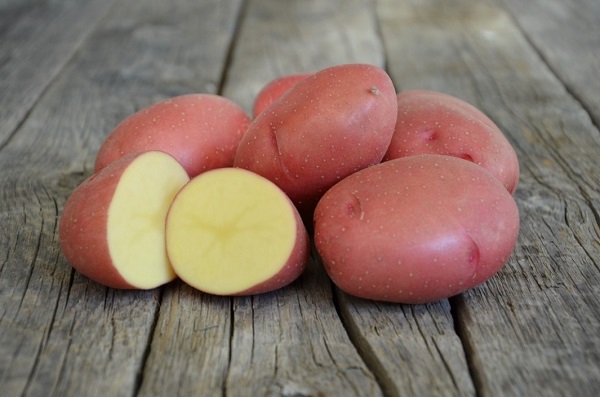 Сорт картофеля Родриго: фото и описание