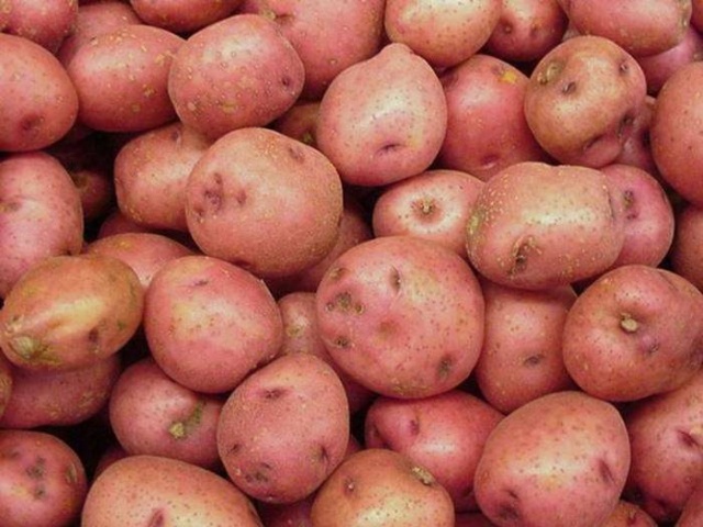 Сорт картофеля Славянка: фото, описание и выращивание