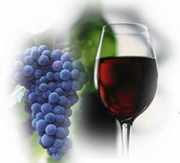 Сорт винограда Изабелла: фото, описание, уход