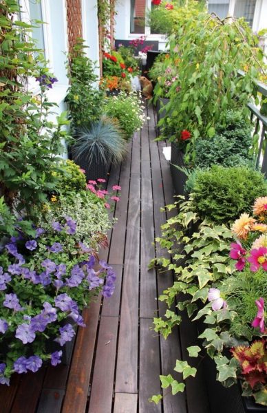 Летний и зимний сад на балконе – технические моменты и идеи оформления