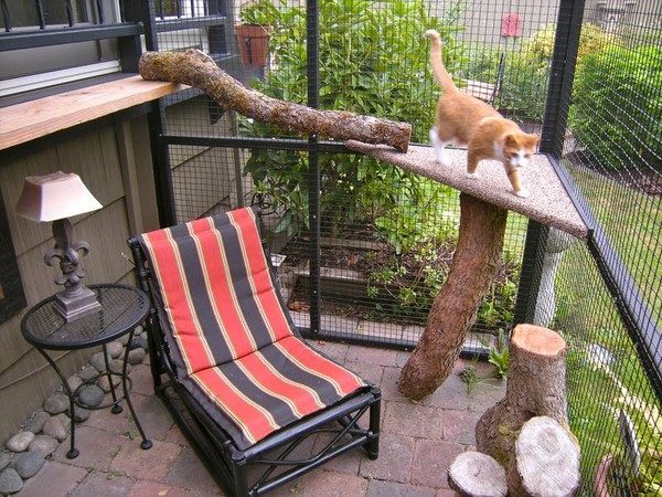 Как сделать балкон безопасным для кошки