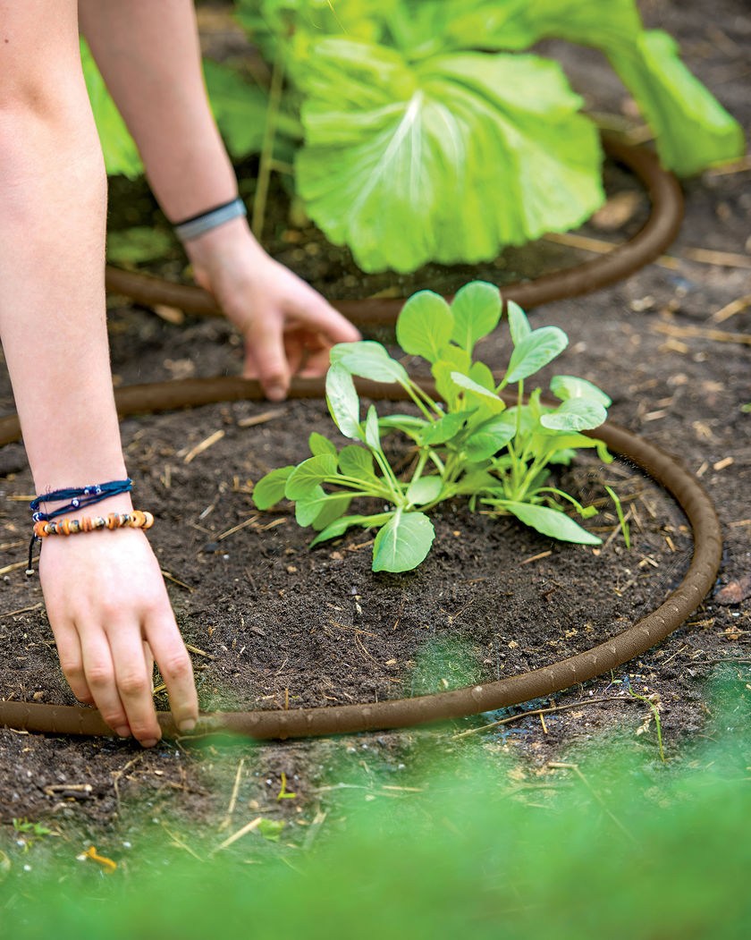 Шланги для дачи — как выбрать прочный и удобный вариант для сада или огорода? 100 фото лучших экземпляров