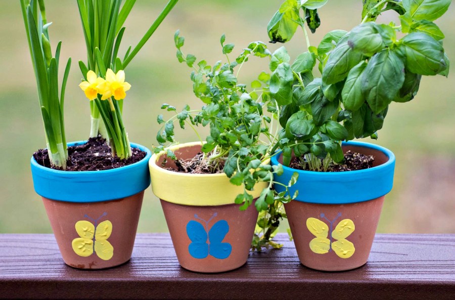 Цветочные горшки — идеи подбора дизайна для комнатных и садовых растений (65 фото)
