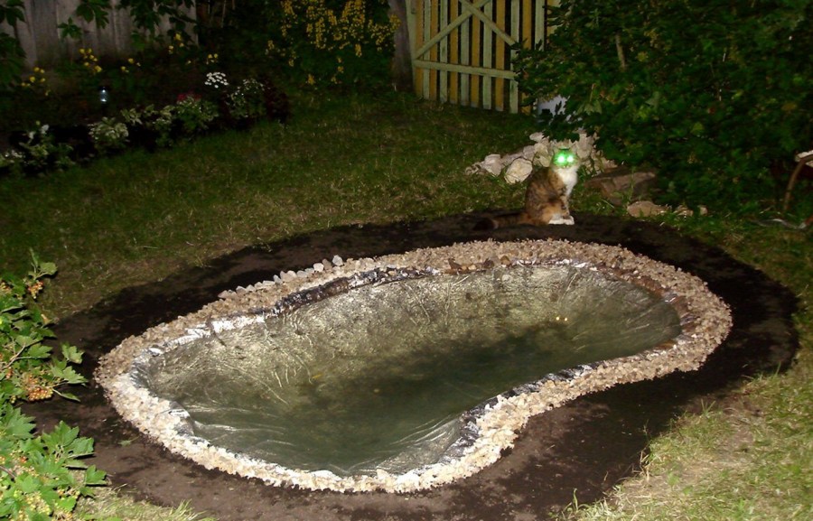 Пруд на даче: подробная пошаговая инструкция как выкопать и оформить пруд своими руками (105 фото)
