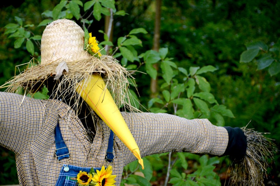 Пугало в сад: как сделать отличное чучело своими руками. 65 фото креативных идей