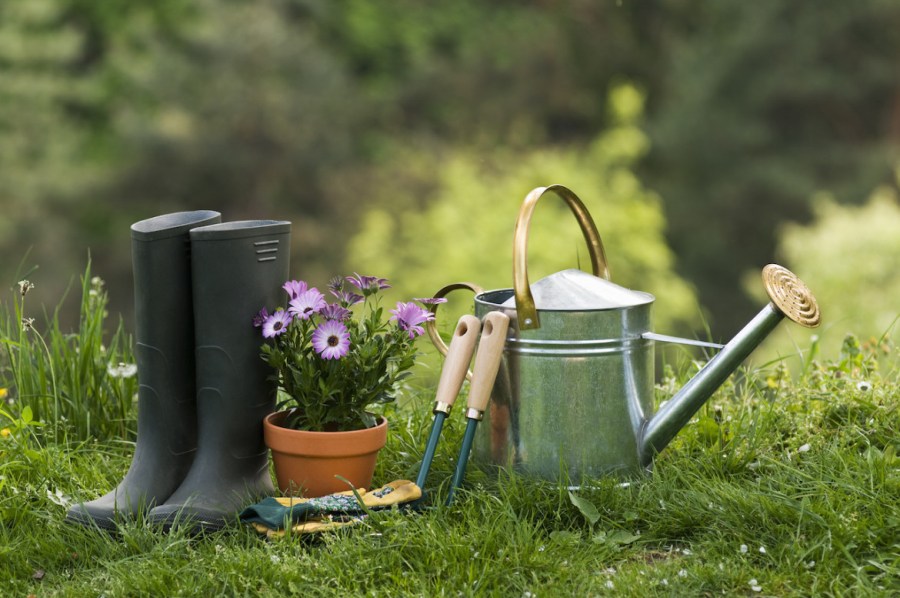 Садовый опрыскиватель — обзор популярных вариантов распылителей и их особенности (90 фото)