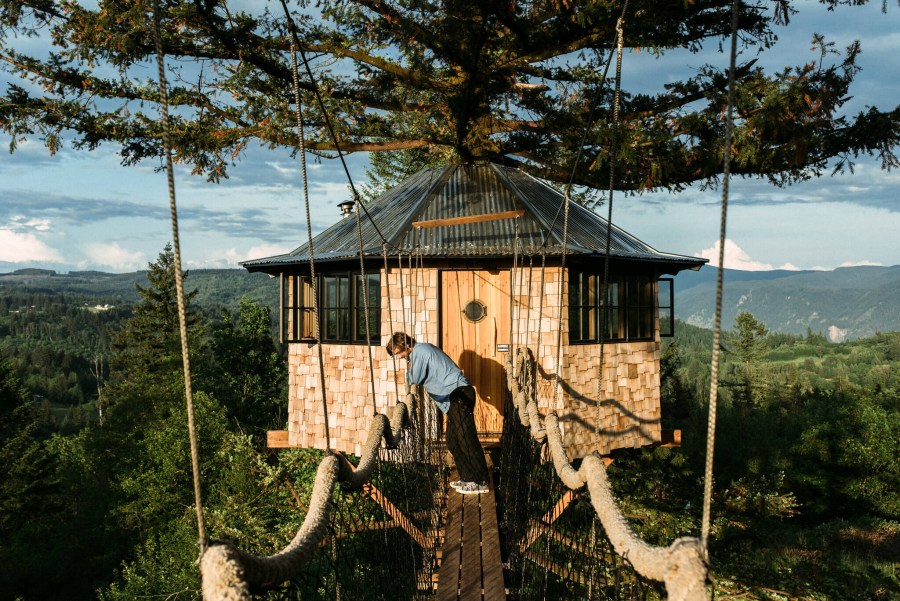 Домик на дереве — 105 фото стильного дизайна и инструкции по постройке своими руками