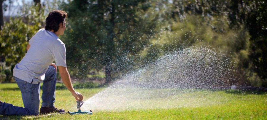 Дождеватели — обзор современных устройств для полива. 125 фото лучших идей для сада и огорода