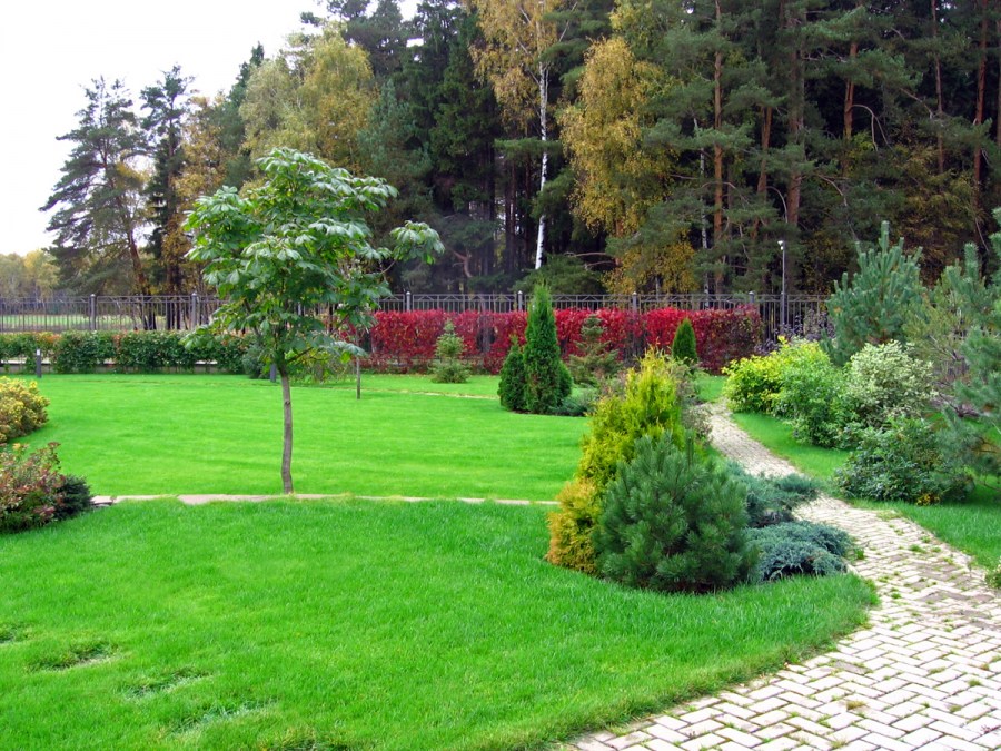 Как оформить сад — зонирование участка и грамотная организация пространства (120 фото-идей)