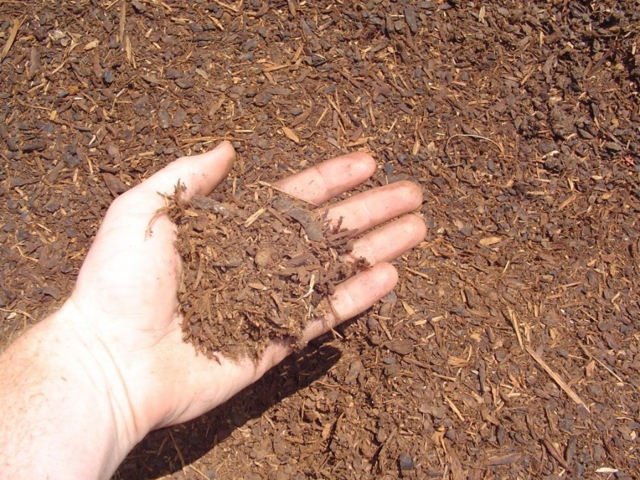 Как удобрить землю: обработка почвы и основные виды удобрений (80 фото)