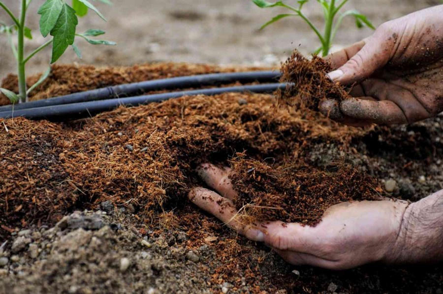 Как удобрить землю: обработка почвы и основные виды удобрений (80 фото)