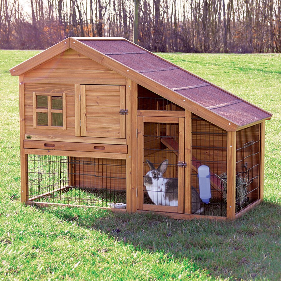 Rabbit Hutch группа