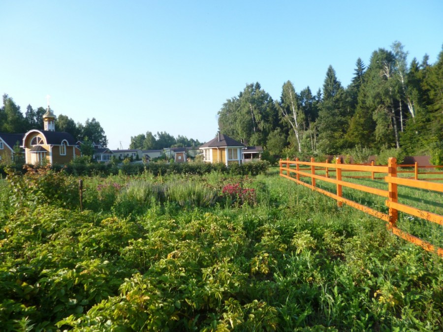 Огород на дачном участке — планировка, зонирование и идеи грамотной организации места (105 фото)