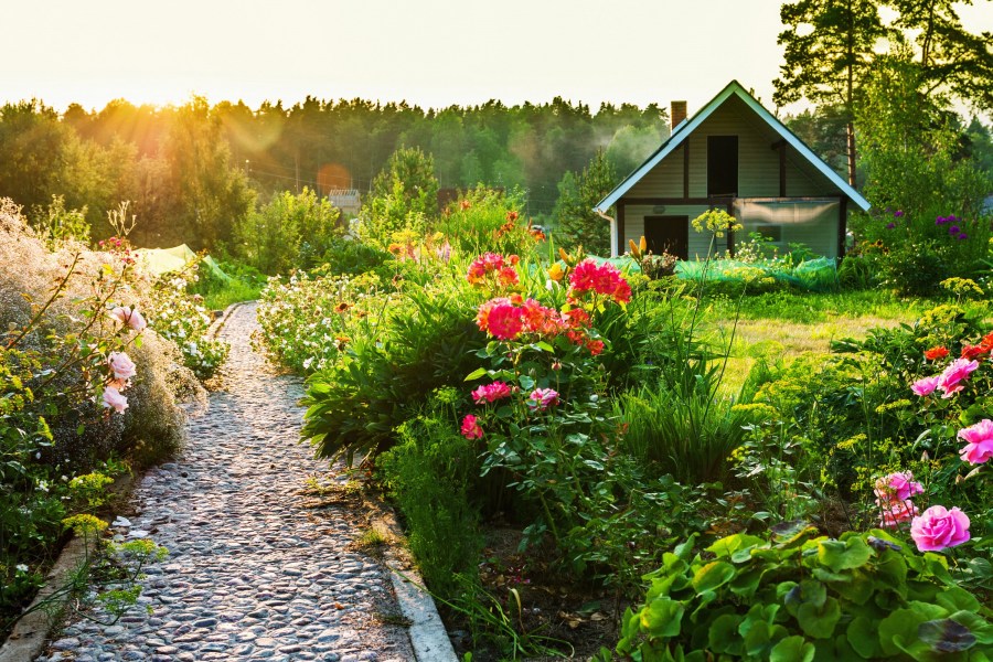 Осенняя посадка кустарников: полезные советы опытных садоводов