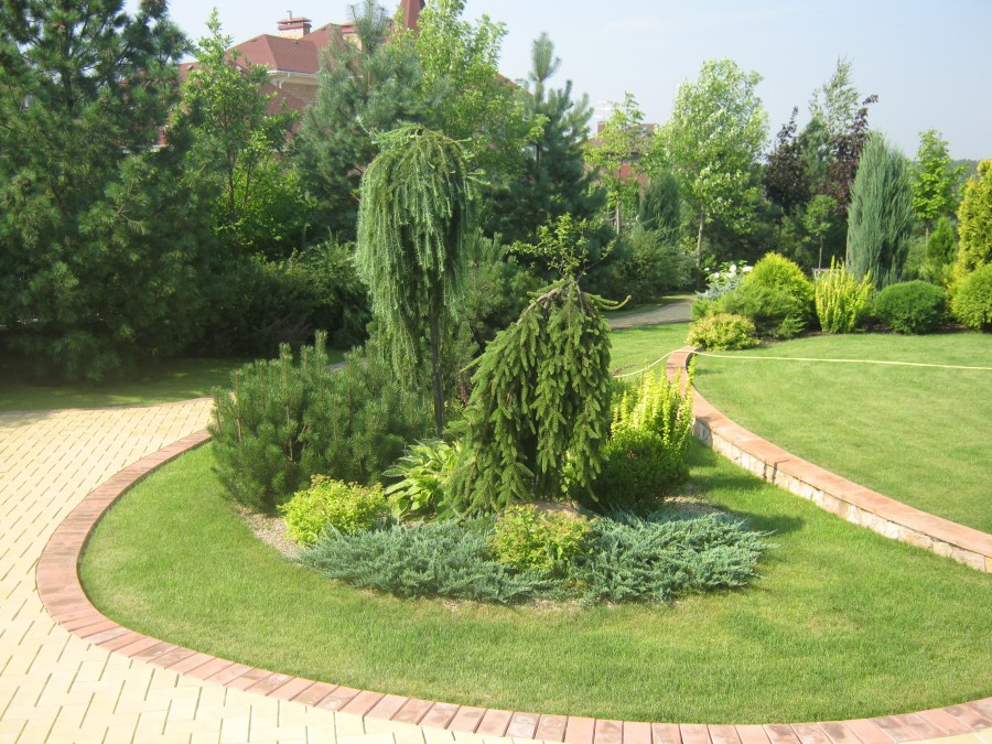 Озеленение двора: ландшафтный дизайн и правила эффектного украшения участка (95 фото)