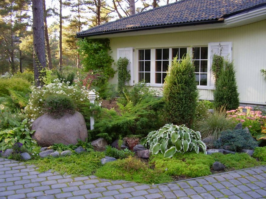 Озеленение двора: ландшафтный дизайн и правила эффектного украшения участка (95 фото)