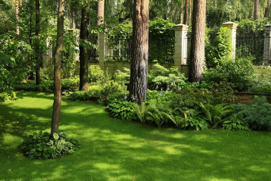 Рулонный газон — использование в ландшафтном дизайне и проектирование лужаек (90 фото)