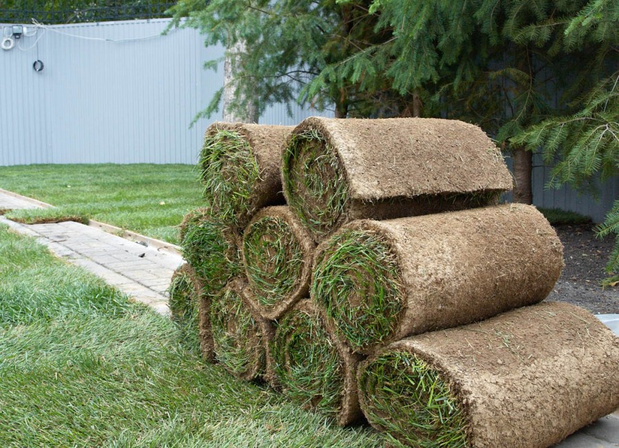 Рулонный газон — использование в ландшафтном дизайне и проектирование лужаек (90 фото)