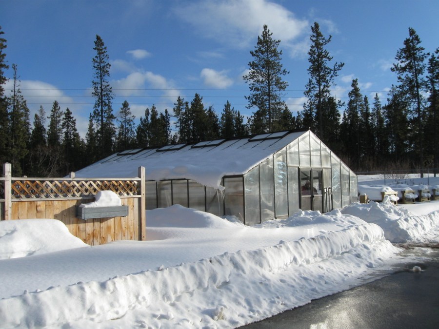 Зимняя теплица — 120 фото лучших проектов для строительства своими руками