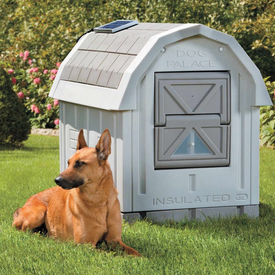 Будка для собаки: 120 фото простых и элегантных вариантов для заднего двора и сада