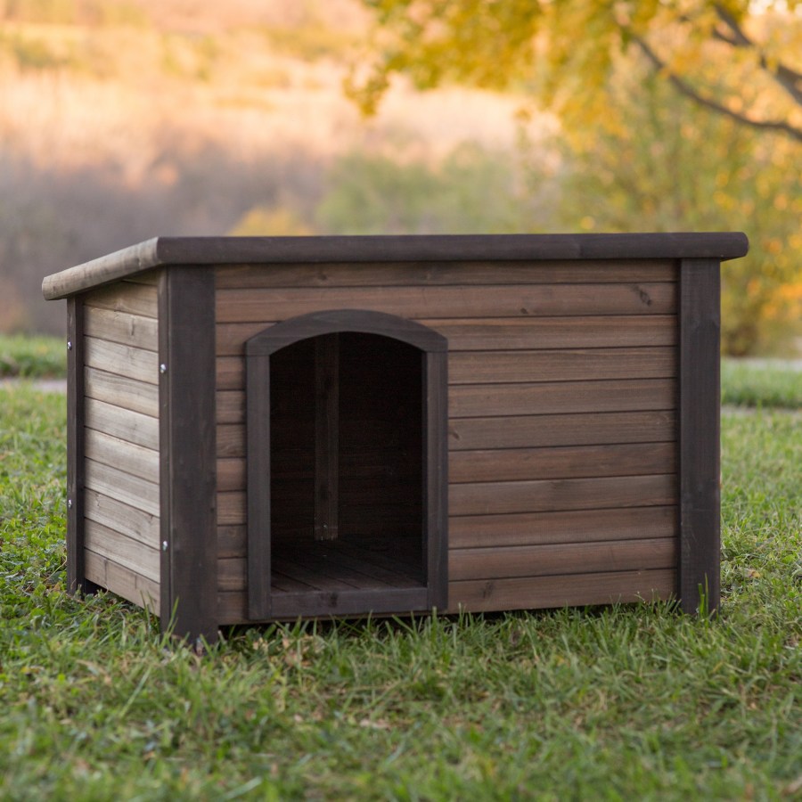 Будка для собаки: 120 фото простых и элегантных вариантов для заднего двора и сада