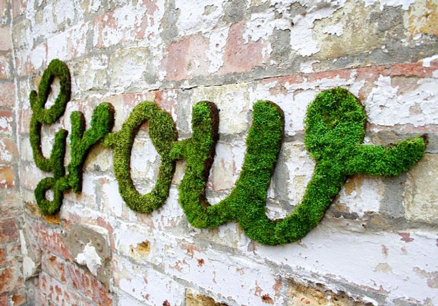 Декоративный мох — особенности использования в дизайне дома и сада (75 фото)