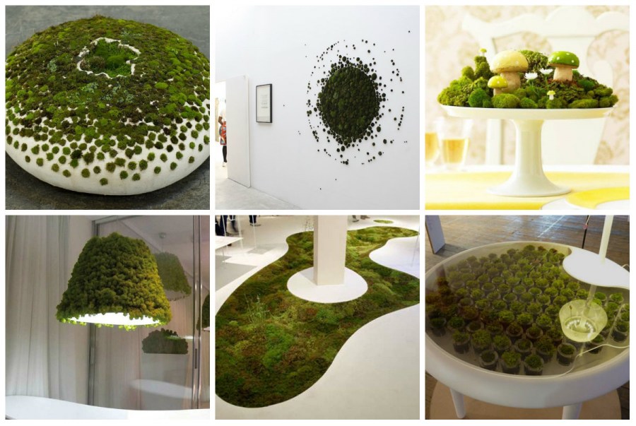 Декоративный мох — особенности использования в дизайне дома и сада (75 фото)