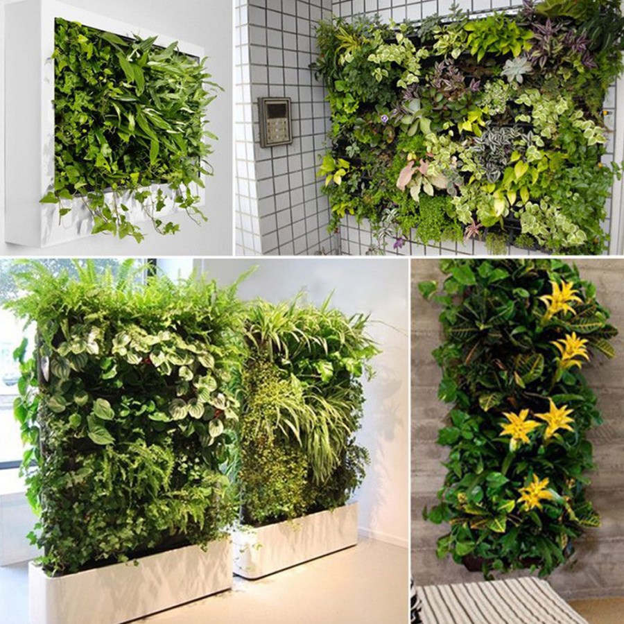 Вертикальное озеленение — какие растения и цветы подобрать для оформления участка своими руками (115 фото)