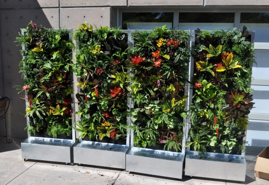 Вертикальное озеленение — какие растения и цветы подобрать для оформления участка своими руками (115 фото)