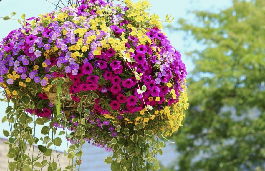 Вертикальные клумбы — идеи создания красивых цветников своими руками (90 фото)