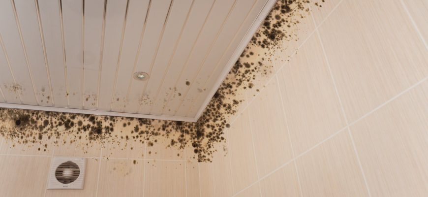 Плесень на потолке в ванной: как избавиться от грибка самостоятельно?