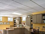 Подвесной потолок на кухне: ТОП-4 используемых материалов